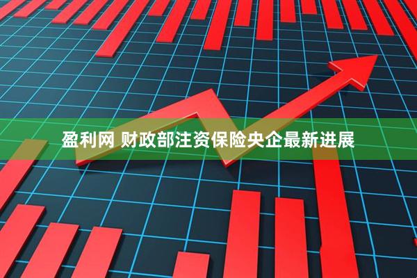 盈利网 财政部注资保险央企最新进展