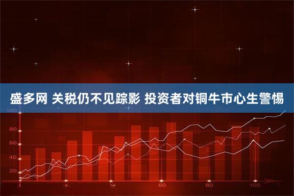 盛多网 关税仍不见踪影 投资者对铜牛市心生警惕